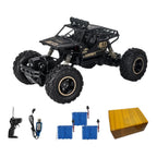 1:16 RC Truck – 2WD, Rechargeable, Mud Splatter Design, LED Lights
