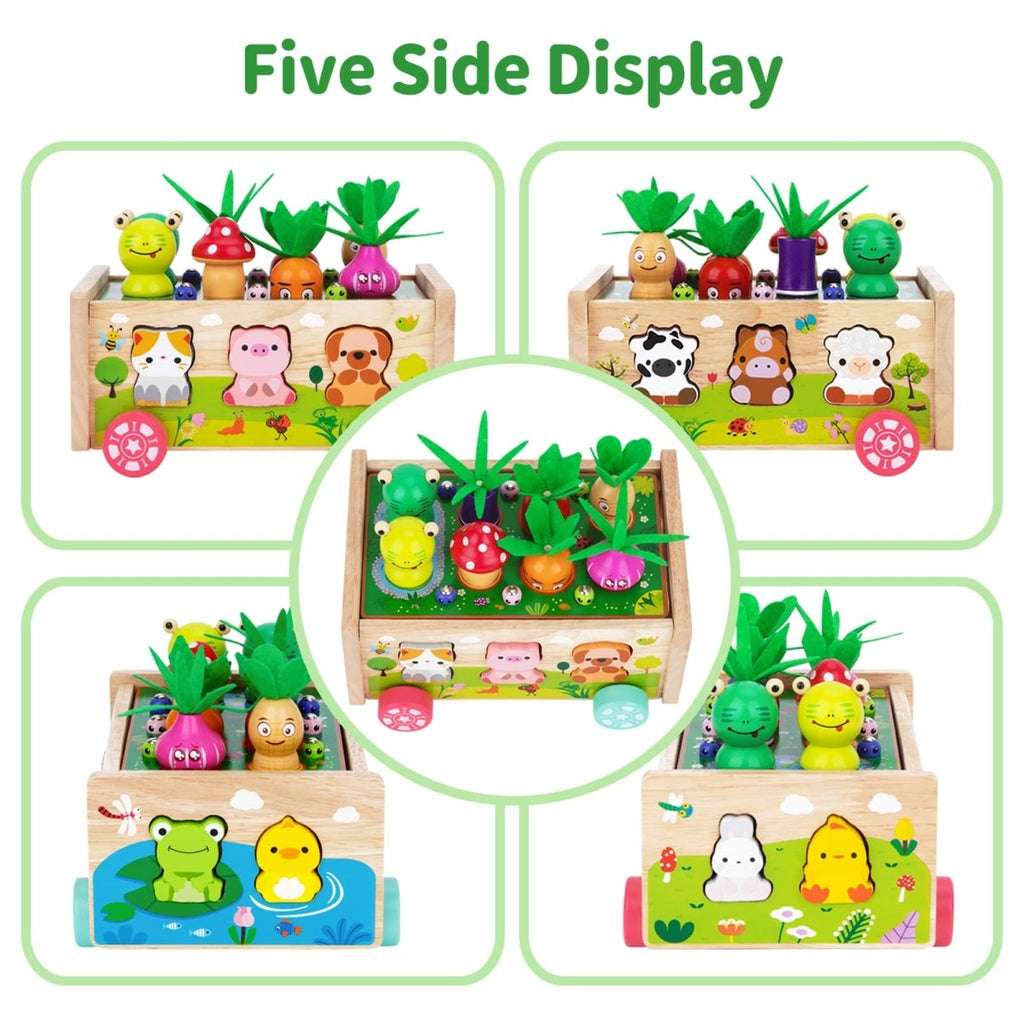 Montessori Wooden Carrot Toy, Sorting Game with Animals & Storage Box